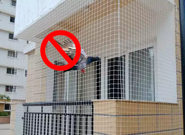 Anti Bird Netting Services